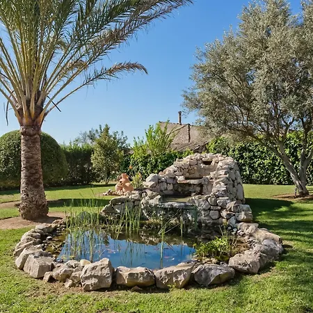 Rafel Villa *